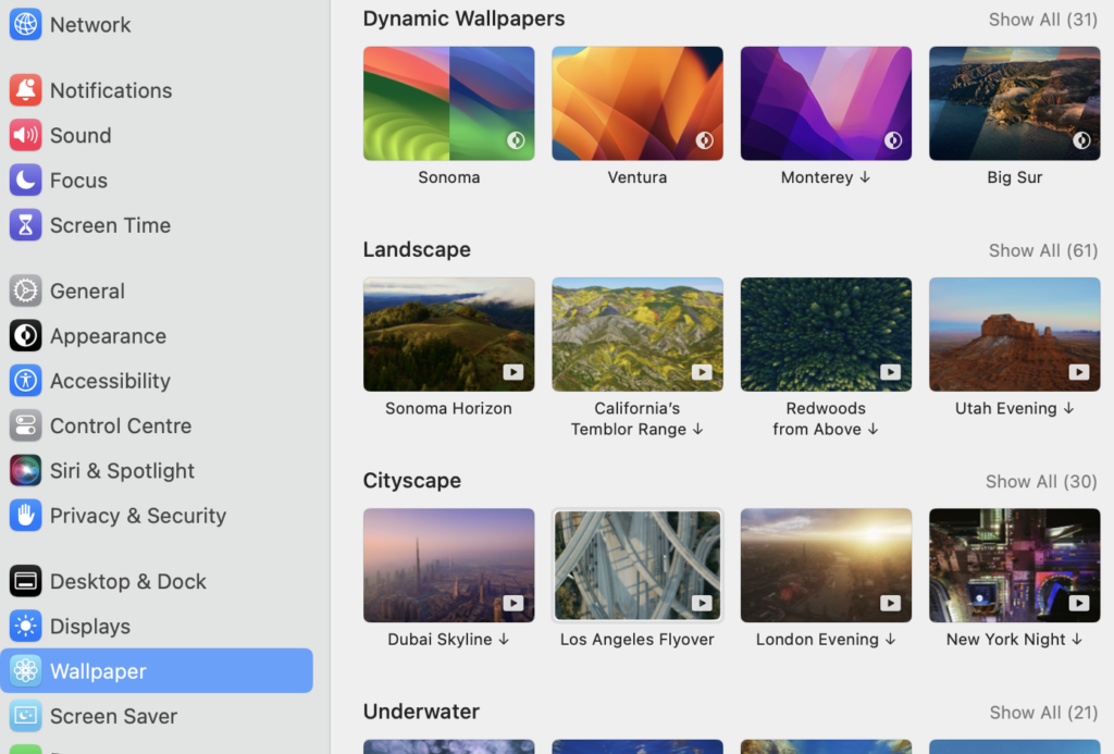 Screenshot 2024 03 03 at 3.39.24 PM